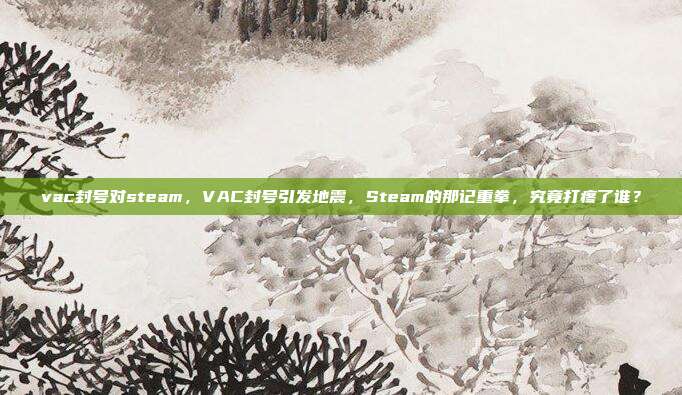 vac封号对steam,VAC封号引发地震,Steam的那记重拳,究竟打疼了谁?