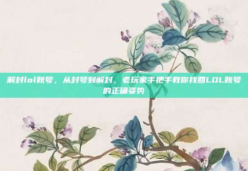 解封lol账号，从封号到解封，老玩家手把手教你找回LOL账号的正确姿势