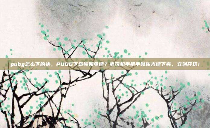 pubg怎么下的快,PUBG下载慢如龟速?老司机手把手教你光速下完,立刻开玩!