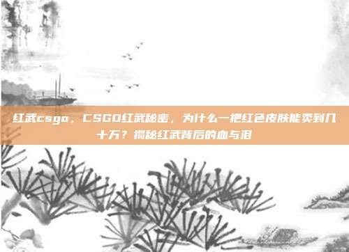 红武csgo,CSGO红武秘密,为什么一把红色皮肤能卖到几十万?揭秘红武背后的血与泪