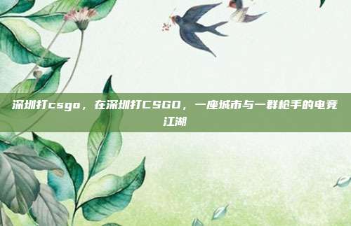 深圳打csgo,在深圳打CSGO,一座城市与一群枪手的电竞江湖