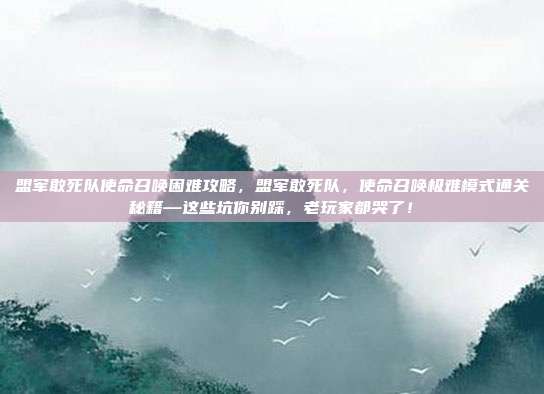 盟军敢死队使命召唤困难攻略,盟军敢死队,使命召唤极难模式通关秘籍—这些坑你别踩,老玩家都哭了!