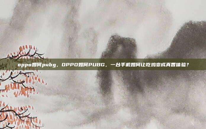 oppo如何pubg,OPPO如何PUBG,一台手机如何让吃鸡变成真香体验?
