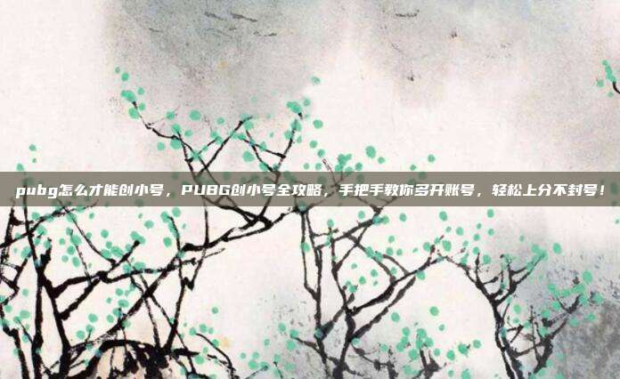 pubg怎么才能创小号,PUBG创小号全攻略,手把手教你多开账号,轻松上分不封号!