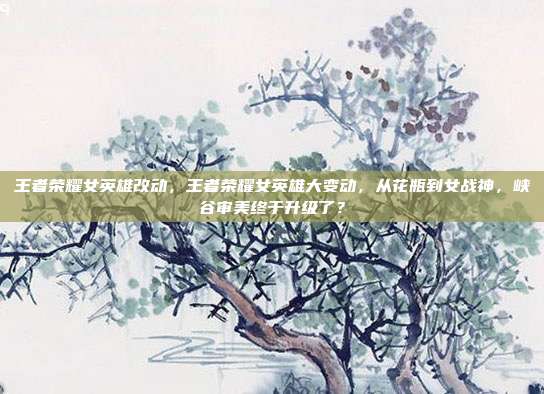 王者荣耀女英雄改动,王者荣耀女英雄大变动,从花瓶到女战神,峡谷审美终于升级了?