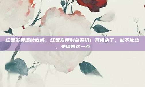 红薯发芽还能吃吗，红薯发芽别急着扔！真相来了，能不能吃，关键看这一点
