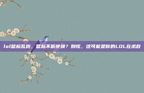 lol鼠标乱跑，鼠标不听使唤？别慌，这可能是你的LOL在求救