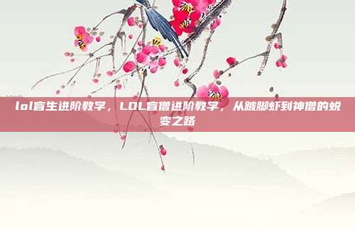 lol盲生进阶教学,LOL盲僧进阶教学,从跛脚虾到神僧的蜕变之路