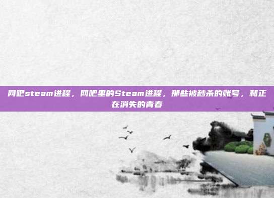 网吧steam进程,网吧里的Steam进程,那些被秒杀的账号,和正在消失的青春