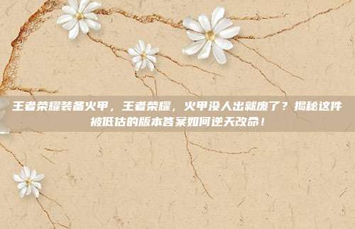 王者荣耀装备火甲，王者荣耀，火甲没人出就废了？揭秘这件被低估的版本答案如何逆天改命！