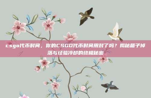 csgo代币时间,你的CSGO代币时间用对了吗?揭秘箱子掉落与经验冷却的终极秘密
