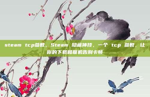 steam tcp参数,Steam 隐藏神技,一个 tcp 参数,让你的下载和联机告别卡顿