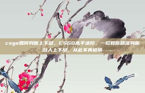 csgo如何判断上下层，CSGO高手进阶，一招教你精准判断敌人上下层，从此不再被阴