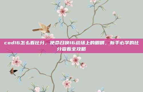 cod16怎么看比分，使命召唤16战场上的眼睛，新手必学的比分查看全攻略