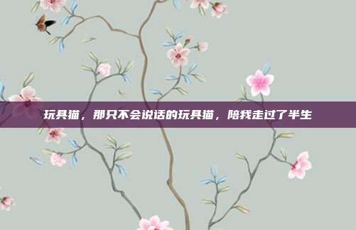 玩具猫，那只不会说话的玩具猫，陪我走过了半生