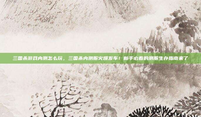 三国杀游戏内测怎么玩,三国杀内测服火爆发车!新手必看的测服生存指南来了