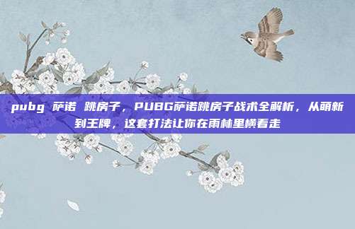 pubg 萨诺 跳房子,PUBG萨诺跳房子战术全解析,从萌新到王牌,这套打法让你在雨林里横着走