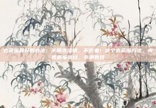 去茶垢最好的办法，不用洗洁精，不伤壶！这个去茶垢方法，央视都报道过，亲测有效