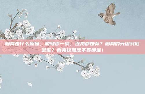 脚臭是什么原因，脱鞋那一刻，连狗都嫌弃？脚臭的元凶到底是谁？看完这篇想不香都难！