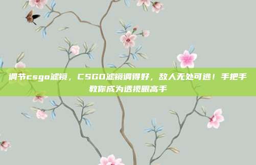 调节csgo滤镜,CSGO滤镜调得好,敌人无处可逃!手把手教你成为透视眼高手