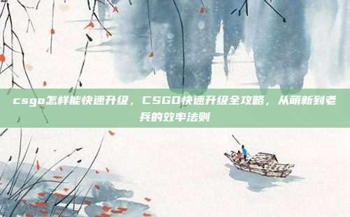 csgo怎样能快速升级，CSGO快速升级全攻略，从萌新到老兵的效率法则