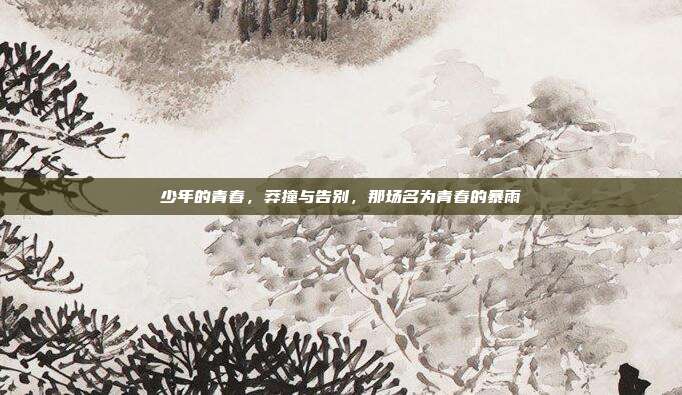 少年的青春,莽撞与告别,那场名为青春的暴雨