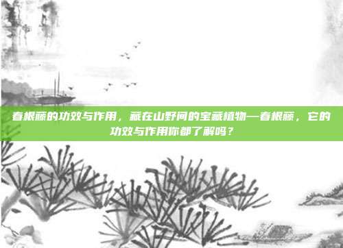 春根藤的功效与作用,藏在山野间的宝藏植物—春根藤,它的功效与作用你都了解吗?
