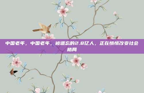 中国老年,中国老年,被遗忘的2.8亿人,正在悄悄改变社会格局