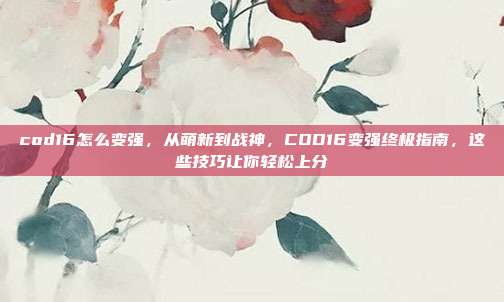 cod16怎么变强,从萌新到战神,COD16变强终极指南,这些技巧让你轻松上分