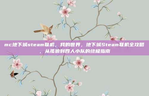 mc地下城steam联机,我的世界,地下城Steam联机全攻略,从孤狼到四人小队的终极指南