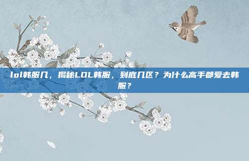lol韩服几,揭秘LOL韩服,到底几区?为什么高手都爱去韩服?