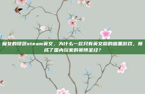 魔女的侵袭steam英文,为什么一款只有英文版的暗黑游戏,竟成了国内玩家的赛博圣经?