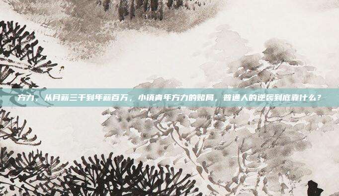 方力,从月薪三千到年薪百万,小镇青年方力的赌局,普通人的逆袭到底靠什么?