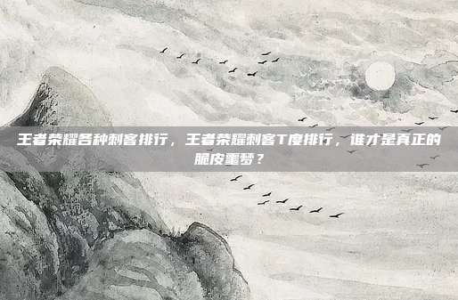 王者荣耀各种刺客排行,王者荣耀刺客T度排行,谁才是真正的脆皮噩梦?