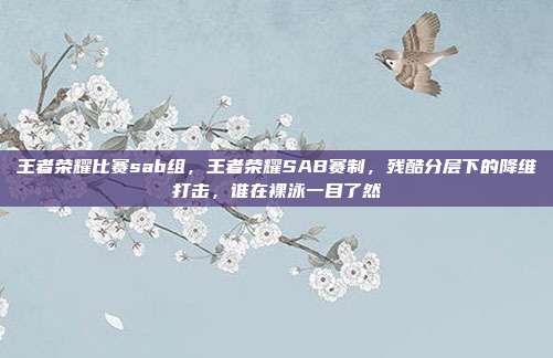 王者荣耀比赛sab组,王者荣耀SAB赛制,残酷分层下的降维打击,谁在裸泳一目了然