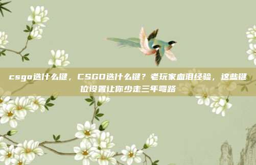 csgo选什么键,CSGO选什么键?老玩家血泪经验,这些键位设置让你少走三年弯路