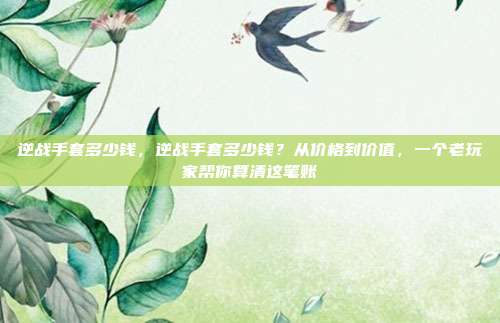 逆战手套多少钱，逆战手套多少钱？从价格到价值，一个老玩家帮你算清这笔账