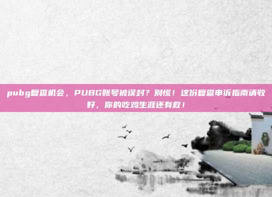 pubg复查机会,PUBG账号被误封?别慌!这份复查申诉指南请收好,你的吃鸡生涯还有救!