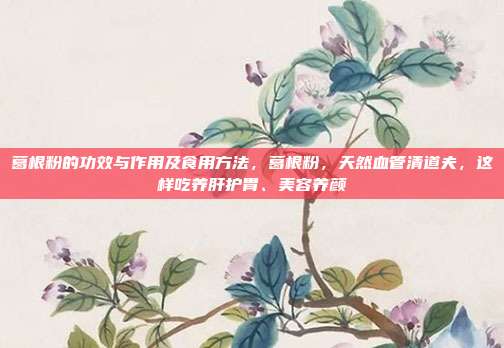葛根粉的功效与作用及食用方法,葛根粉,天然血管清道夫,这样吃养肝护胃、美容养颜