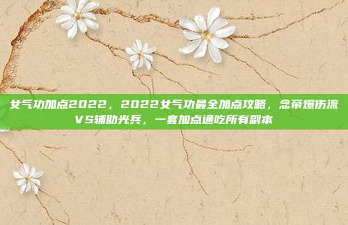 女气功加点2022,2022女气功最全加点攻略,念帝爆伤流VS辅助光兵,一套加点通吃所有副本