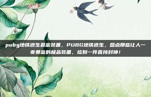 pubg地铁逃生最富装备,PUBG地铁逃生,盘点那些让人一夜暴富的极品装备,捡到一件直接封神!