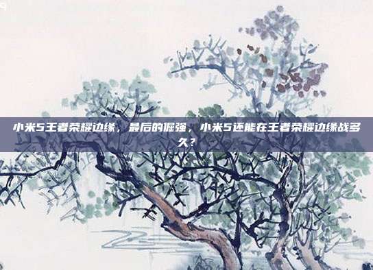小米5王者荣耀边缘,最后的倔强,小米5还能在王者荣耀边缘战多久?