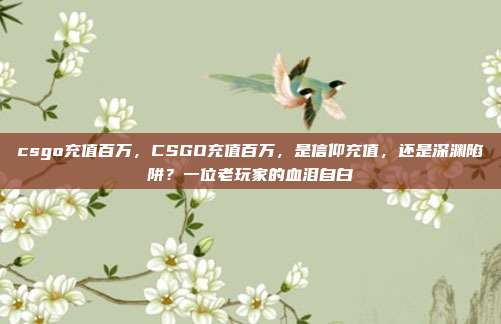 csgo充值百万,CSGO充值百万,是信仰充值,还是深渊陷阱?一位老玩家的血泪自白