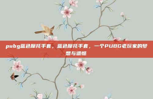 pubg蓝色摩托手套,蓝色摩托手套,一个PUBG老玩家的梦想与遗憾