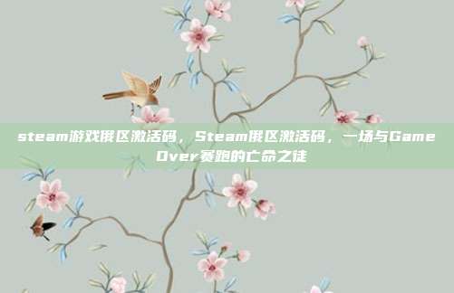 steam游戏俄区激活码,Steam俄区激活码,一场与Game Over赛跑的亡命之徒