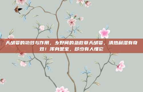 天胡荽的功效与作用,乡野间的急救草天胡荽,清热利湿有奇效!浑身是宝,却少有人懂它
