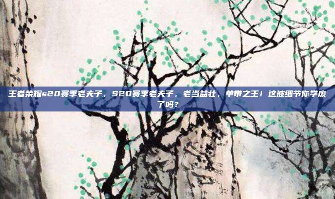 王者荣耀s20赛季老夫子，S20赛季老夫子，老当益壮，单带之王！这波细节你学废了吗？