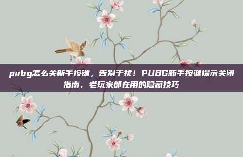 pubg怎么关新手按键,告别干扰!PUBG新手按键提示关闭指南,老玩家都在用的隐藏技巧