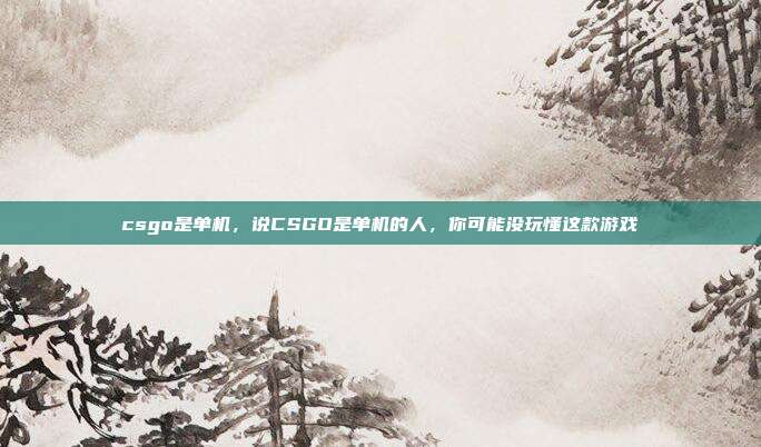 csgo是单机,说CSGO是单机的人,你可能没玩懂这款游戏