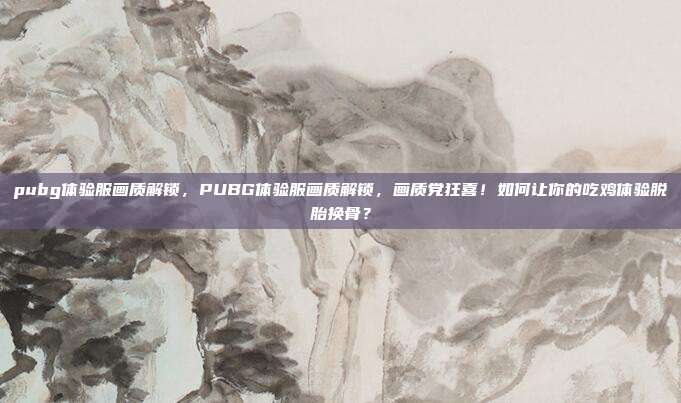pubg体验服画质解锁,PUBG体验服画质解锁,画质党狂喜!如何让你的吃鸡体验脱胎换骨?